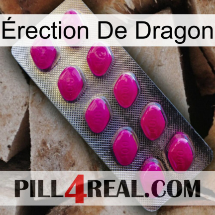 Érection De Dragon 09